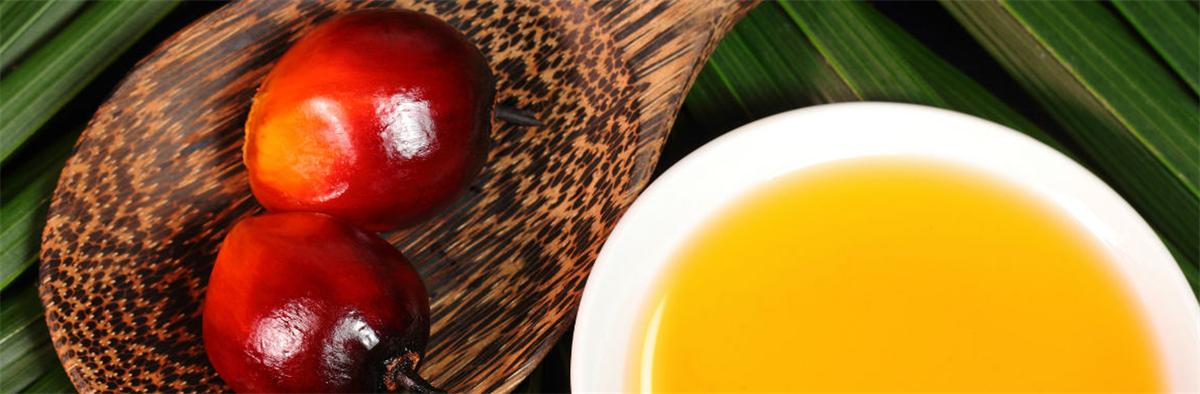 Refinación de aceite de palma